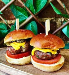 Sliders (2)