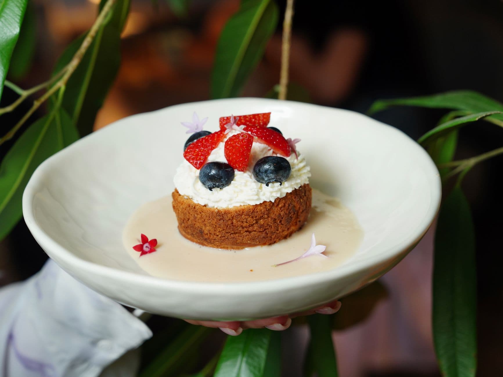 Vanilla Cheesecake